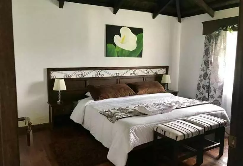 ホテル Chuquiragua Lodge & Spa
