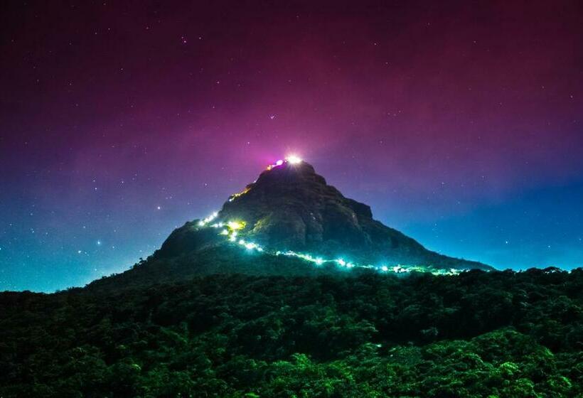 ペンション Heaven Hills Guest House