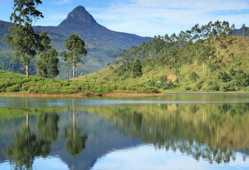 ペンション Heaven Hills Guest House