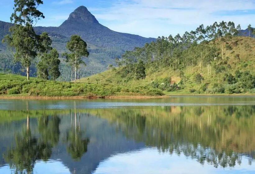 ペンション Heaven Hills Guest House