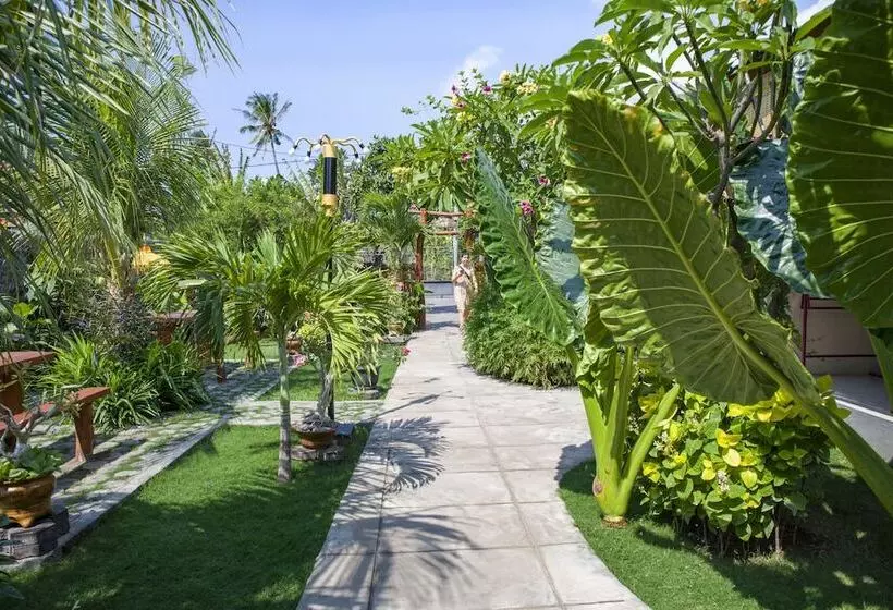 Majatalo Van Santri Homestay Pemuteran