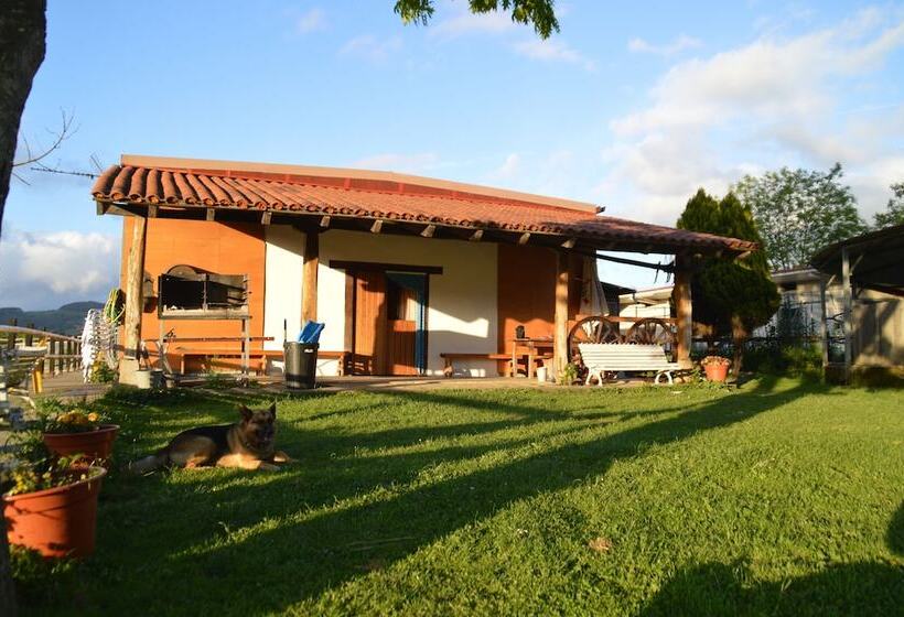 Alarpe Aterpetxea   Hostel