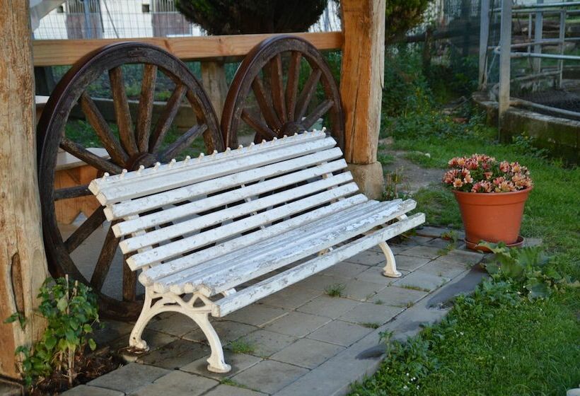 Alarpe Aterpetxea   Hostel