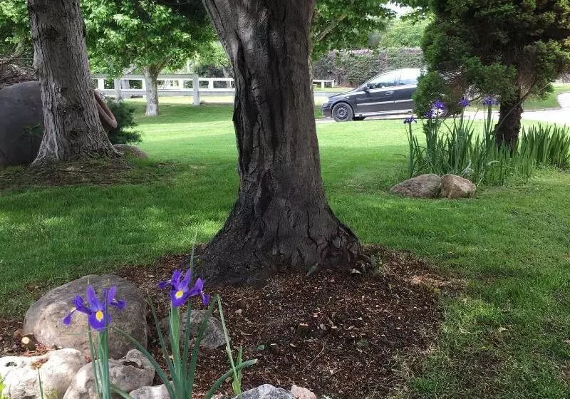 B&b Yeguada La Parrilla