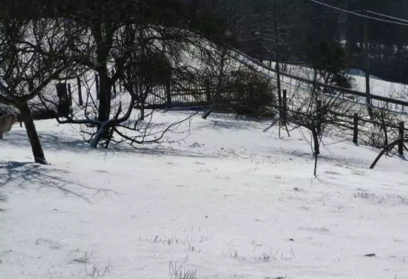 ホテル Le Bonheur Dans Le Pre