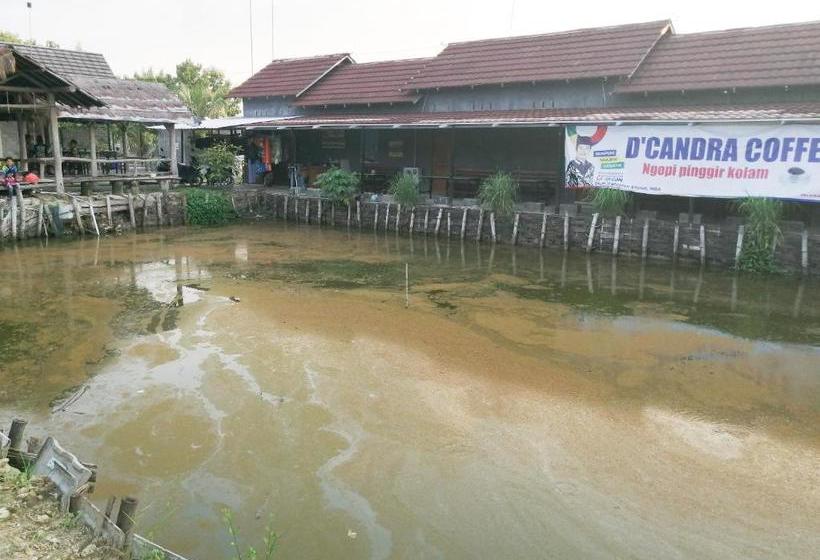 ホテル Oyo 3500 D Chandra Family