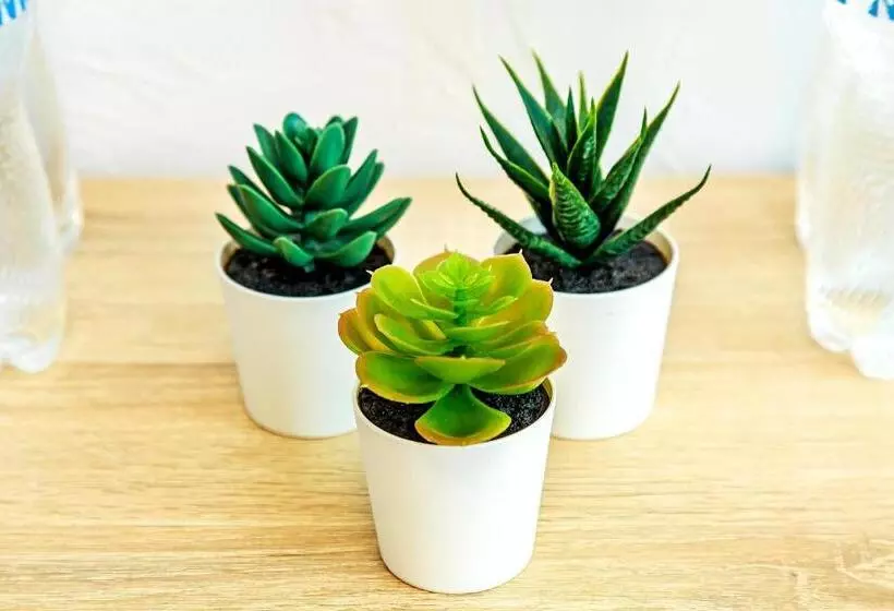 Herberge Villa Shell