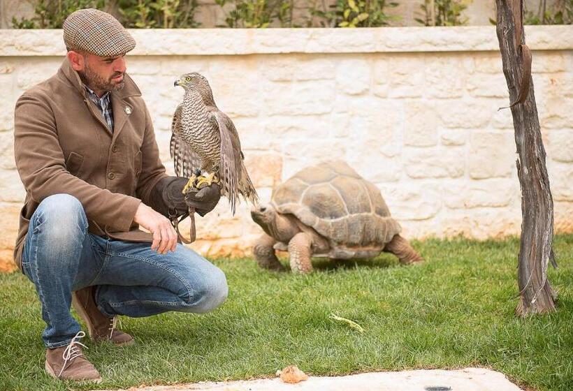 تختخواب و صبحانه Estrela   Trullo Benessere Nel Centro Storico Di Alberobello