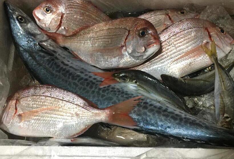 فندق Oasis Wadaura