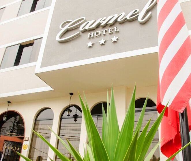 Hotel Carmel