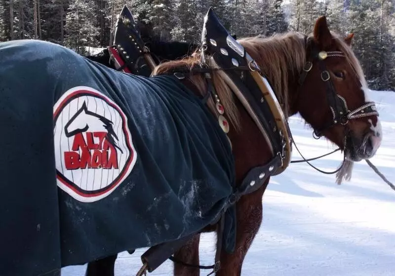 호텔 Miramonti Corvara