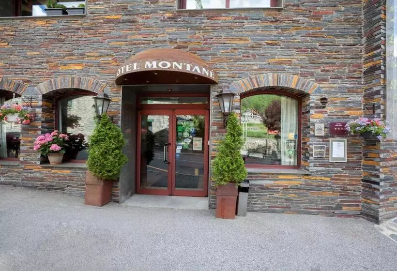 Отель Montané