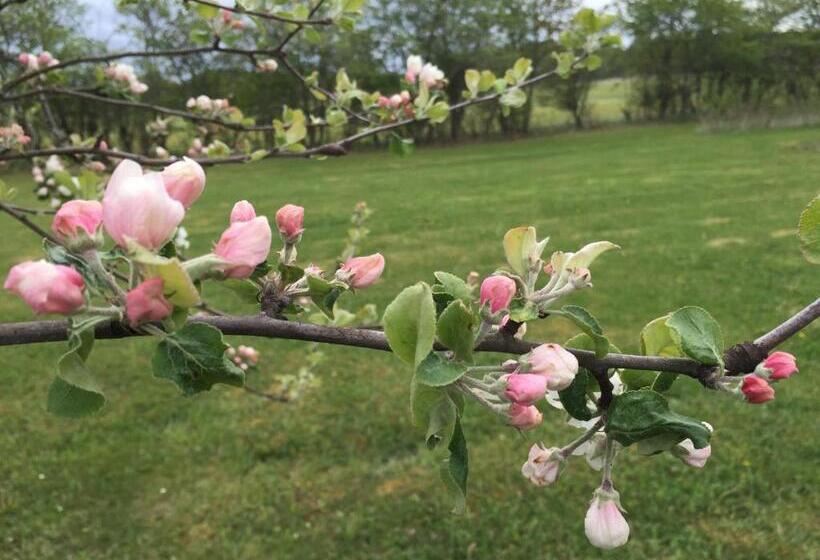 Malmgårdens Vandrarhem B&b