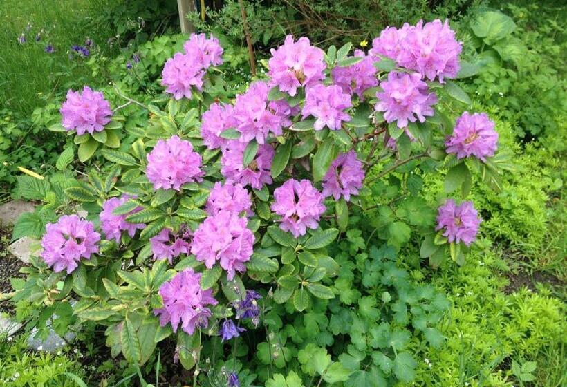 Malmgårdens Vandrarhem B&b