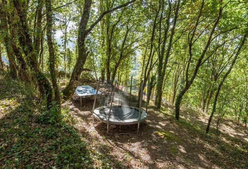 בית מלון כפרי Forest House Casinha Do Carvalhal