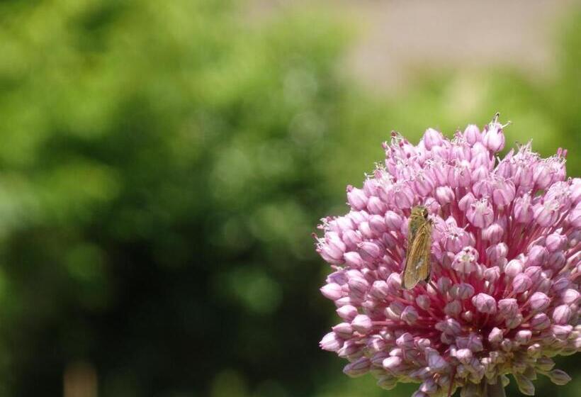 Meedafu's Yui Hostel And Coffee