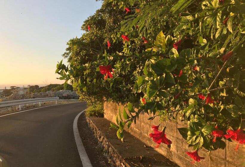 Meedafu's Yui Hostel And Coffee