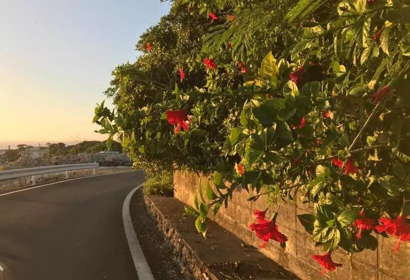 Meedafu's Yui Hostel And Coffee