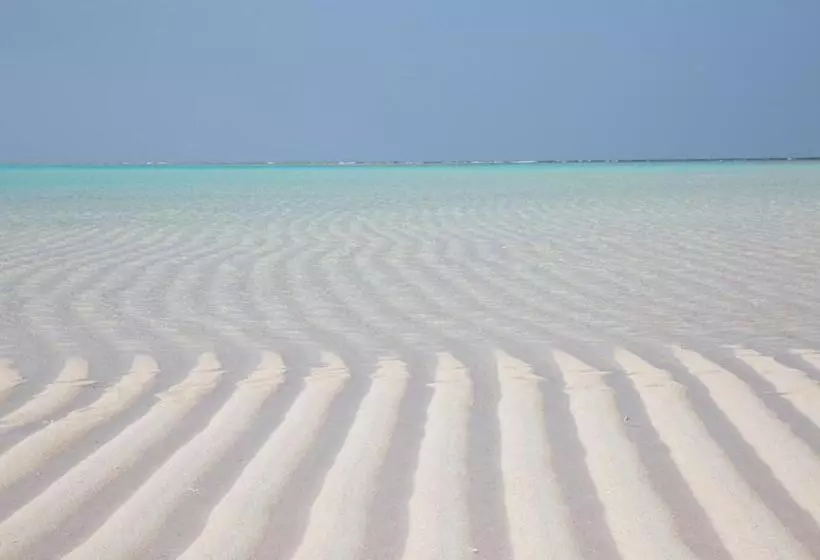 Meedafu's Yui Hostel And Coffee