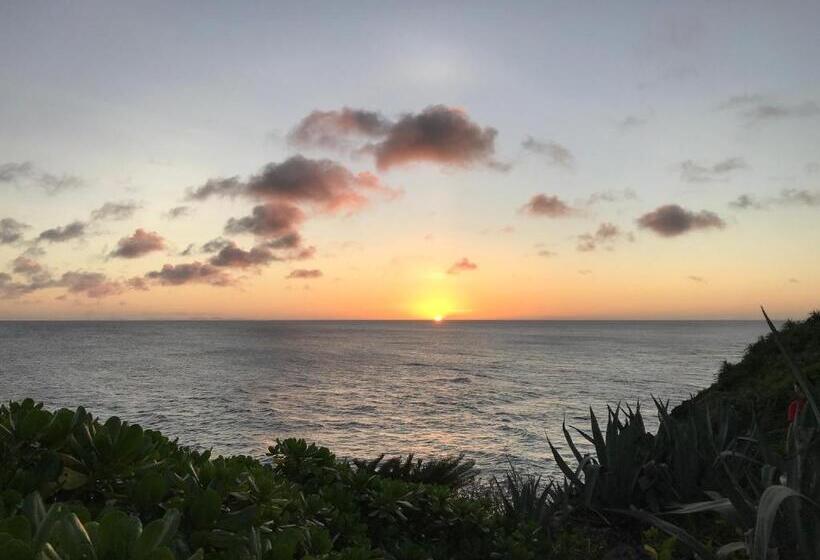 Meedafu's Yui Hostel And Coffee