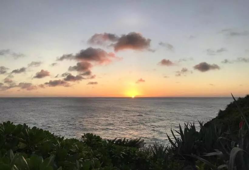 Meedafu's Yui Hostel And Coffee