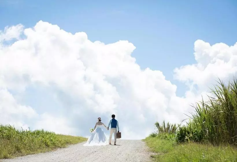 Meedafu's Yui Hostel And Coffee