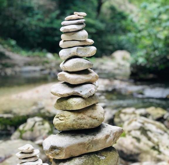 پانسیون орхидея