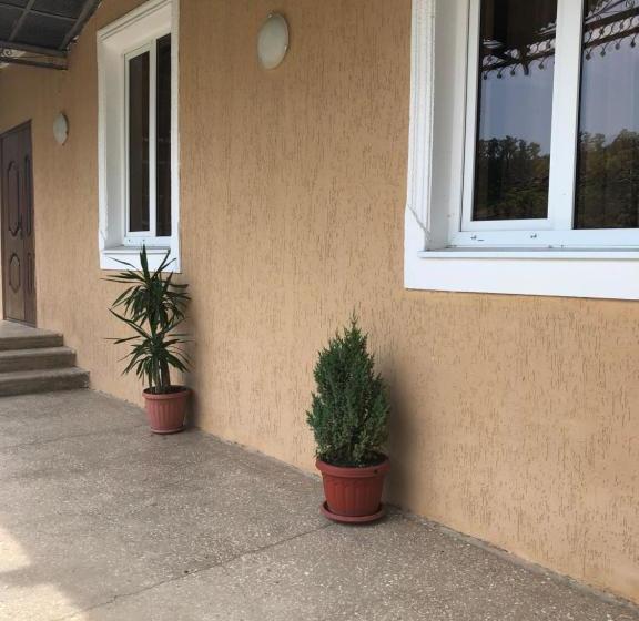 پانسیون орхидея