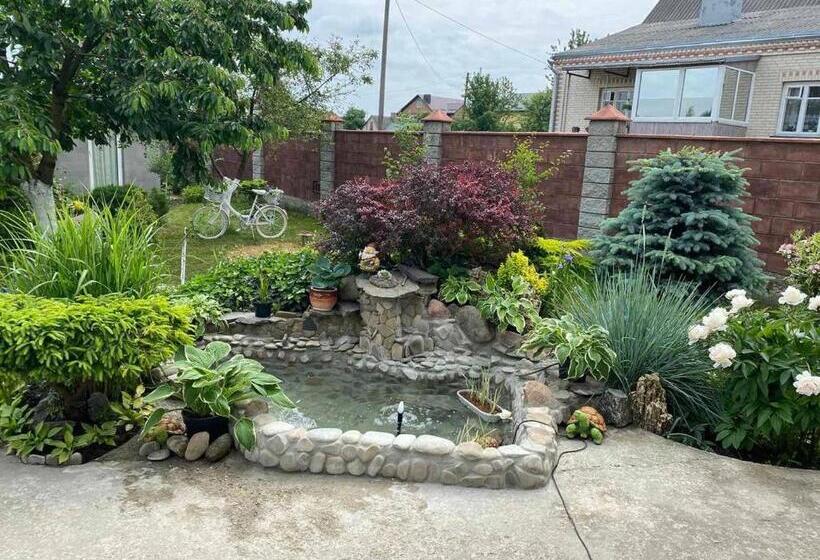 هتل готель алекс