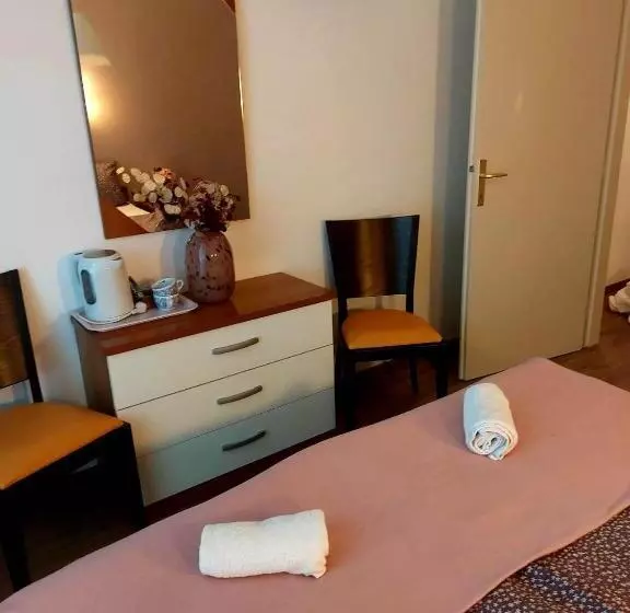 پانسیون Guesthouse Ob Sotočju Budič