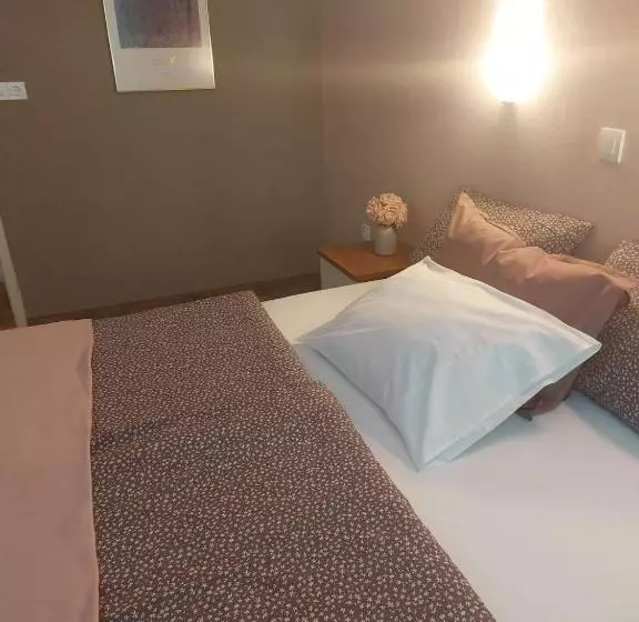 پانسیون Guesthouse Ob Sotočju Budič
