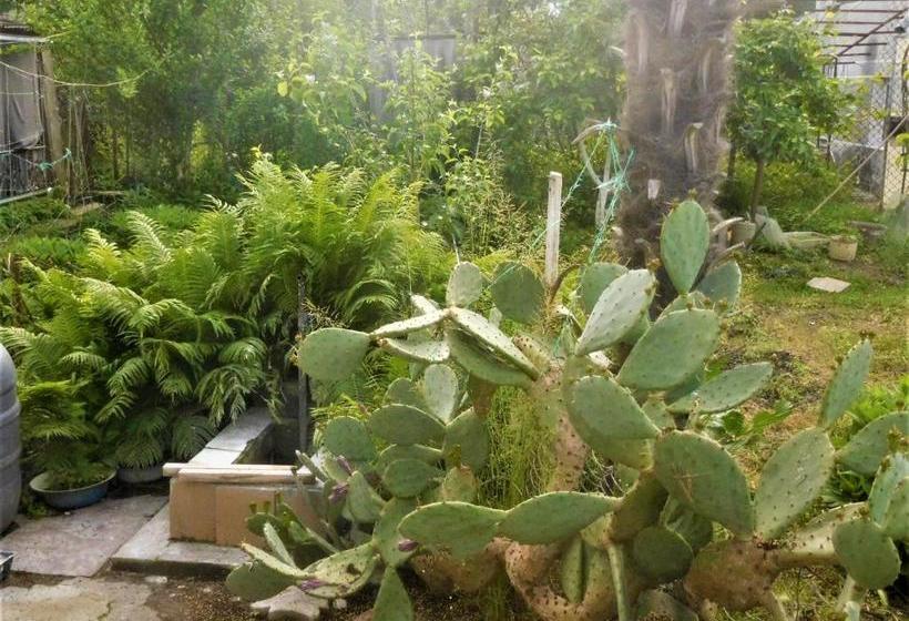 پانسیون гостевой дом на адлейба 75