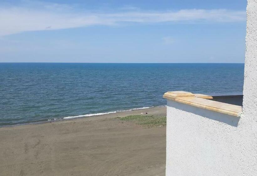 تختخواب و صبحانه Marinus