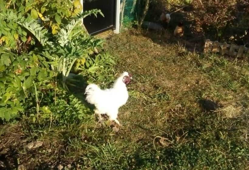 펜션 Alaguyauder La Chambre