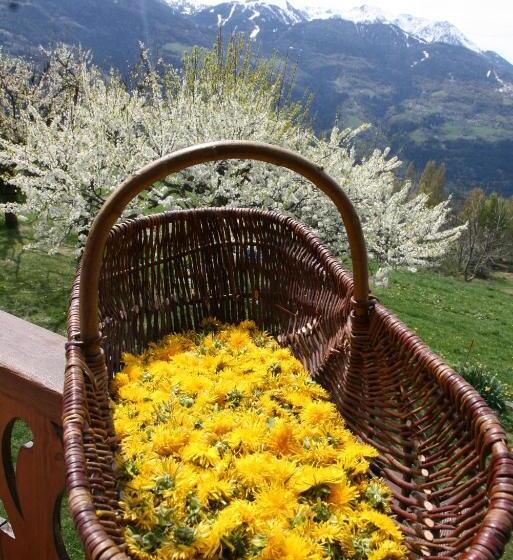 تختخواب و صبحانه Les Marm Hôtes