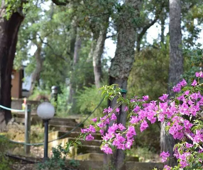 Hotelli Camping Les Albères   Maeva