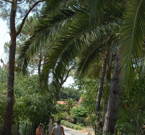 酒店 Camping Les Albères Maeva