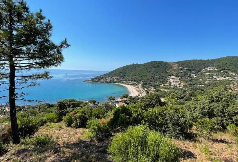 住所  Résidence Le Télémaque