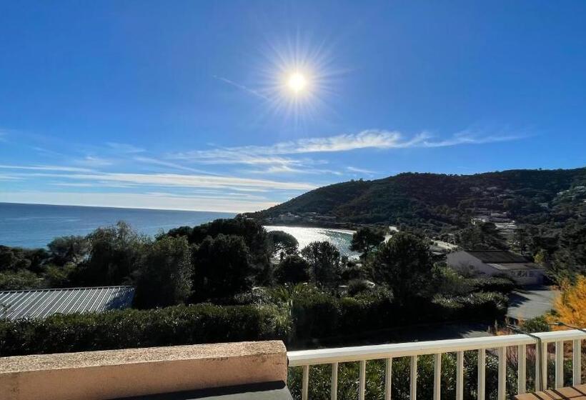 住所  Résidence Le Télémaque