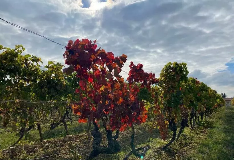 Aamiaismajoitus (B&B) Le Cocon De Curson Chambre D Hôtes