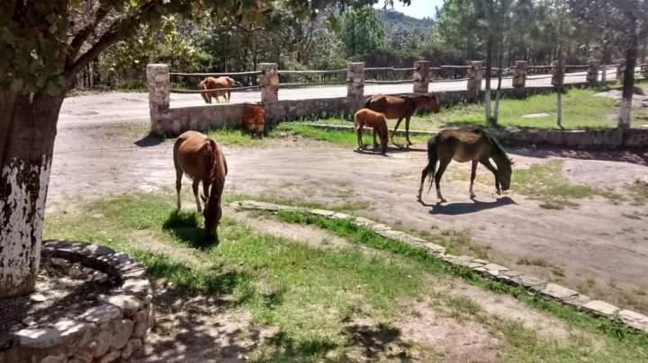 فندق Cabañas De Lolita En Barrancas Del Cobre