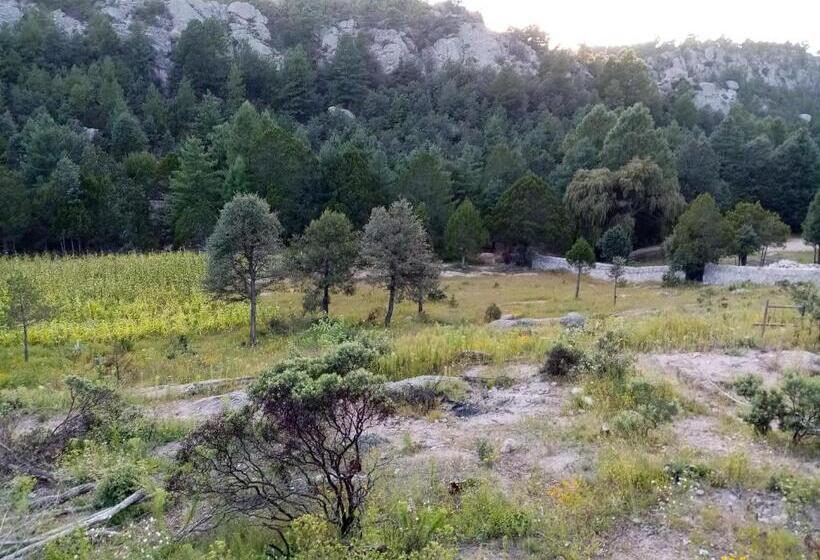 فندق Cabañas De Lolita En Barrancas Del Cobre
