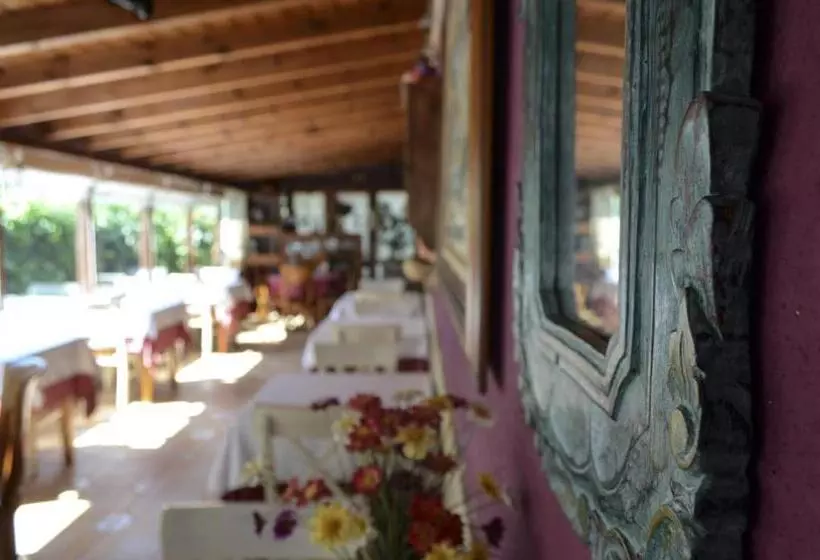 Bed and Breakfast Hosteria Las Viñas