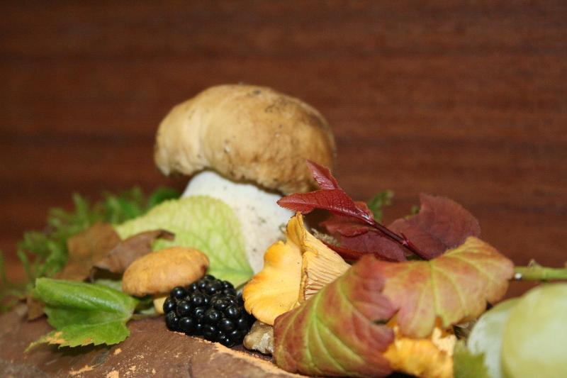 Weinhotel Ayler Kupp