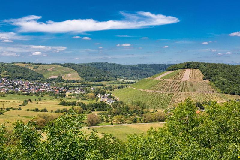 Weinhotel Ayler Kupp