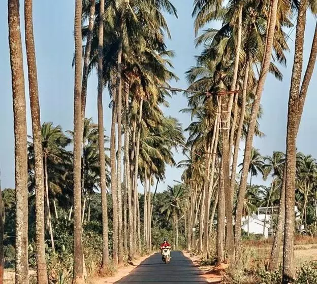 Majatalo Sun Kissed Holidays Dabolim Goa Gold