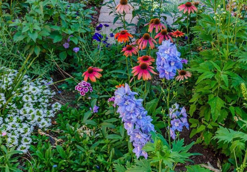 Apples Bed And Breakfast Inn