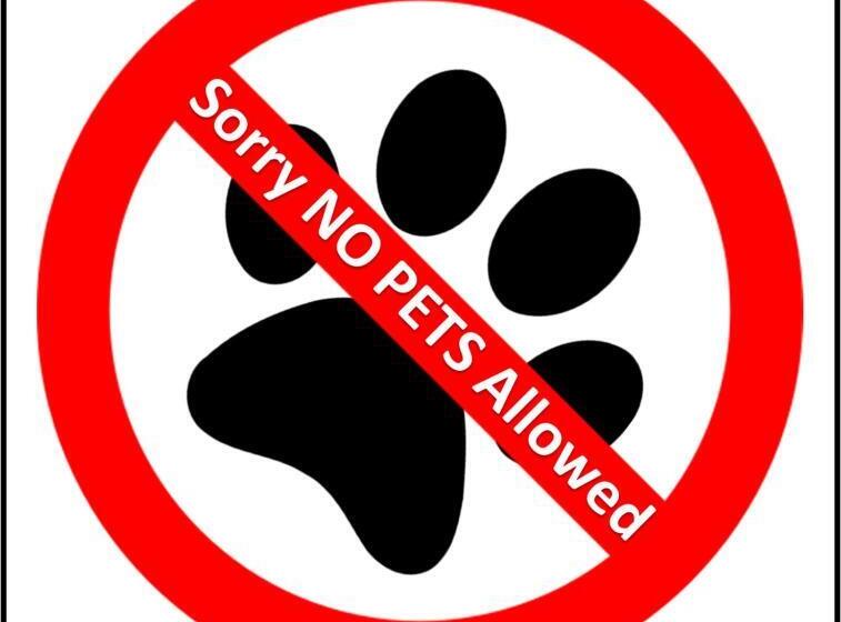 Szálloda Basecamp Suites Canmore