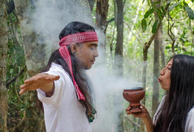 בית מלון כפרי Rotamundos Mama Loomm