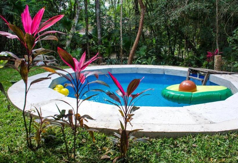 בית מלון כפרי Rotamundos Mama Loomm